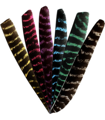 Plume BEARPAW entière Tigrée