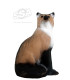 Cible 3D WILD LIFE Renard Marron Assis