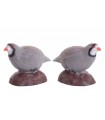 Cible 3D BEIER Dove