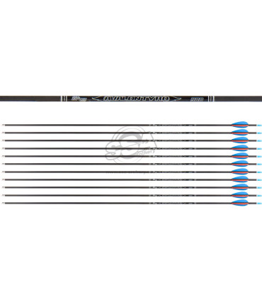 Flèche AVALON Tyro 100% carbone par 100