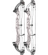 Arc HOYT Concept XTS 40 CDM ou TDM
