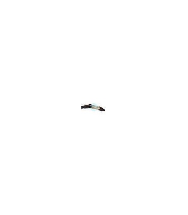 White Feather Horsebow Fairy 50"