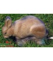 Cible 3D NATURFOAM Lapin Broutant