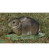 Cible 3D NATURFOAM Lapin Gité