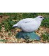 Cible 3D NATURFOAM Tarmigan