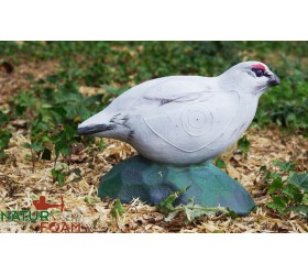 Cible 3D NATURFOAM Tarmigan