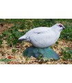 Cible 3D NATURFOAM Tarmigan