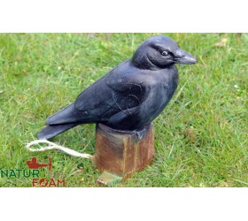 Cible 3D NATURFOAM Corbeau