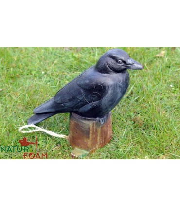 Cible 3D NATURFOAM Corbeau