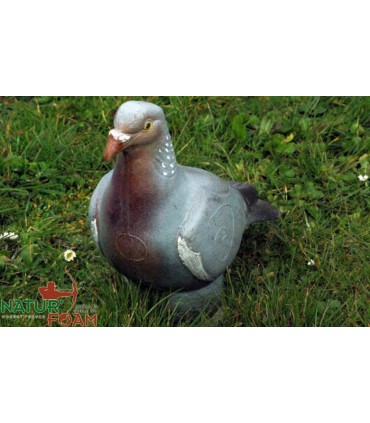 3D PIGEON