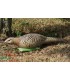 Cible 3D NATURFOAM Poule Faisane