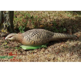 Cible 3D NATURFOAM Poule Faisane