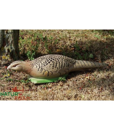 Cible 3D NATURFOAM Poule Faisane