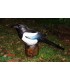 Cible 3D NATURFOAM Pie