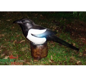 Cible 3D NATURFOAM Pie