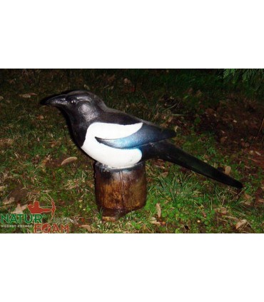 Cible 3D NATURFOAM Pie