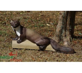 Cible 3D NATURFOAM Fouine