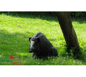 3D SANGLIER