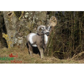 Cible 3D NATURFOAM Mouflon Debout