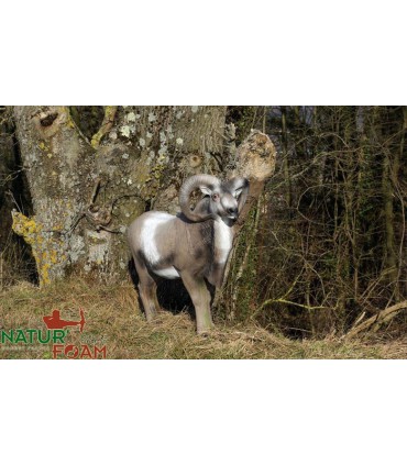 3D MOUFLON DEBOUT