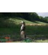 Cible 3D NATURFOAM Fouine Dréssé