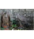 Cible 3D NATURFOAM  Vautour