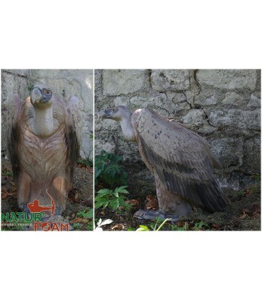 3D VAUTOUR