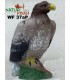 Cible 3D NATURFOAM Aigle