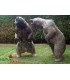 Cible 3D NATURFOAM Ours Brun Menaçant