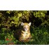 3D LEOPARD AU REPOS