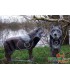 Cible 3D NATURFOAM Loup Debout