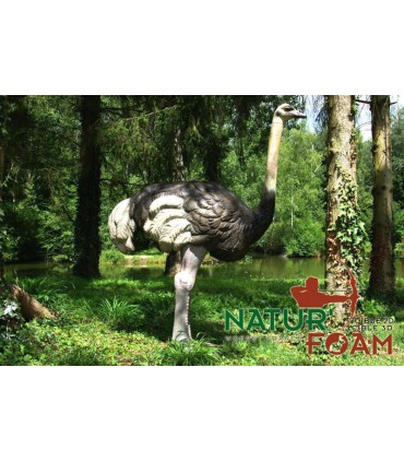 Cible 3D NATURFOAM Autruche