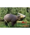 3D MUNTJAC