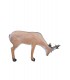 3D CHEVREUIL QUI BOIT
