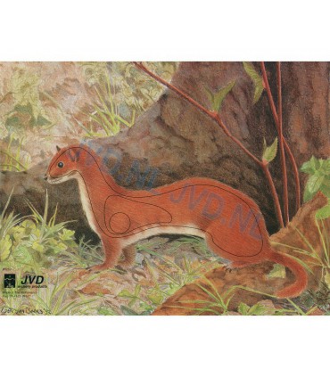 blason animalier 1