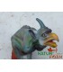 3D PERROQUET CORNU DEMONIAQUE