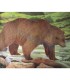 blason animalier 10