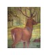 blason animalier 11