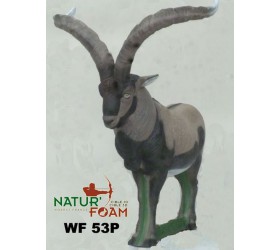 Cible 3D NATURFOAM Machjo Debout