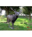 Cible 3D NATURFOAM Cerf Sika