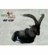 3D MACHJO MONTES GITE
