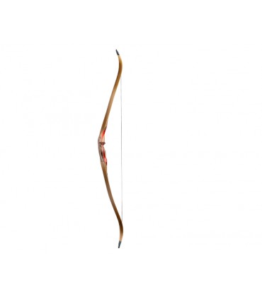 Recurve Mountain Lion