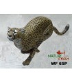 3D GUEPARD A LA COURSE